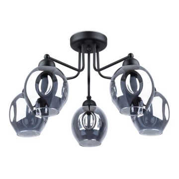 Luster na šipci FILLAN 5xE27/60W/230V crna