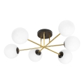 Luster na šipci MAGNUM 6xE14/10W/230V bela/zlatna/crna