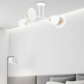 Luster na šipci MINERVA 2xE27/15W + 2xE14/10W/230V bela