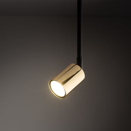 Luster na stalku za 1-fazni šinski sistem TOP 1xGU10/10W/230V zlatna/crna