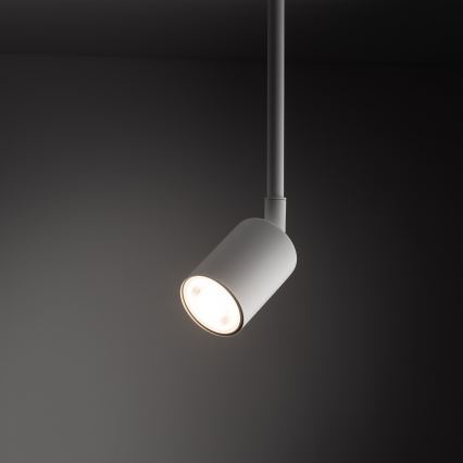 Luster na stalku za jednofazni šinski sistem TOP 1xGU10/10W/230V beo