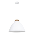 Luster SKAL 1xE27/60W/230V bukva