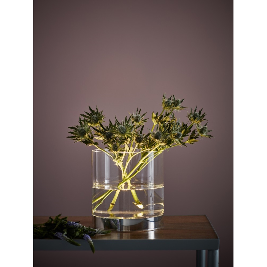 Markslöjd 107326 - LED stona lampica BOUQUET LED/3W/230V