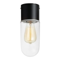 Markslöjd 107796 - Stropno svetlo za kupatilo ZEN 1xE27/15W/230V IP44