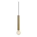 Markslöjd 108259 - Luster na sajli SENCILLO 1xE27/40W/230V zlatna