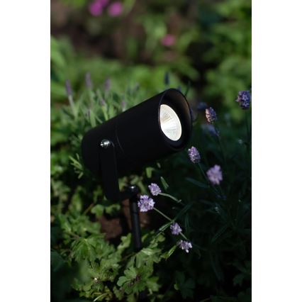 Markslöjd 108483 - LED spoljašnja svetiljka GARDEN24 LED/3W/24V 30 cm IP44 crna