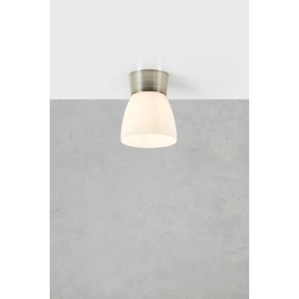 Markslöjd 109026 - Plafonsko svetlo za kupatilo NERJA 1xE27/40W/230V IP44 mat hrom