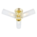 Markslöjd 109238 - Plafonski luster za kupatilo RIMINI 3xG9/20W/230V IP44 mesing