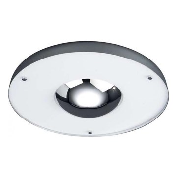 Massive 30205/11/81 - Plafonsko svetlo WINONA 2GX13/40W/230V