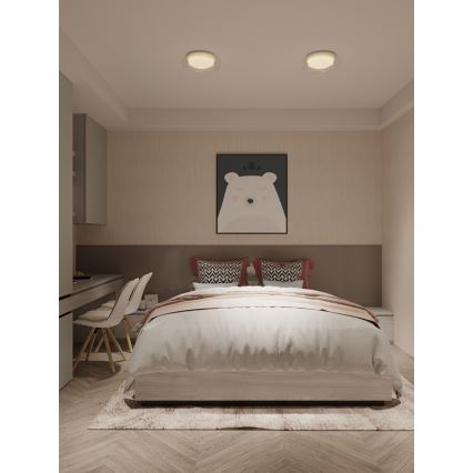 MAXLIGHT C0233 - LED plafonsko svetlo DUO LED/10W/230V Ø 34 cm belo