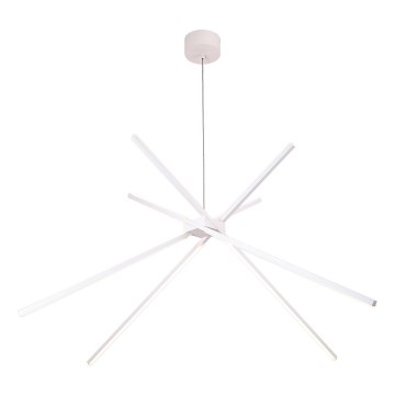 MAXLIGHT P0270 - LED luster na sajli SPIDER LED/33W/230V beo