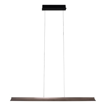 MAXLIGHT P0595 - LED prigušiva luster na sajli JO-JO LED/38W/230V 2700/4500/5500K antracit