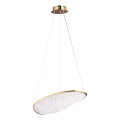 MAXLIGHT P0637D - LED luster na sajli EMPIRE LED/17W/230V zlatna