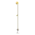 MAXLIGHT W0449 - LED Zidna lampa BINGO LED/8W/230V CRI 92 zlatna/bež