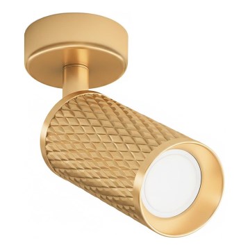 Maytoni C034CL-01G - spot lampa FOCUS 1xGU10/10W/230V zlatna