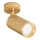 Maytoni C034CL-01G - spot lampa FOCUS 1xGU10/10W/230V zlatna
