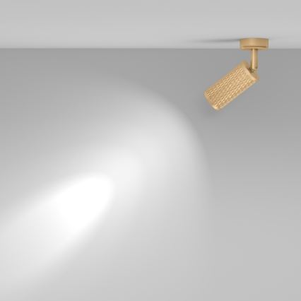 Maytoni C034CL-01G - spot lampa FOCUS 1xGU10/10W/230V zlatna