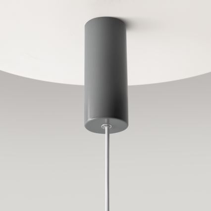 Maytoni MOD189PL-L12GR3K1 - LED luster na sajli GERHARD LED/19W/230V prečnik 30 cm siva