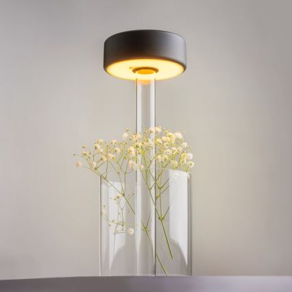 Maytoni MOD229TL-L3B3K1 - prigušiva LED prenosna punjiva stona lampa, LED/3W/5V, 2200-4000K, 2000 mAh, crna/prozirna
