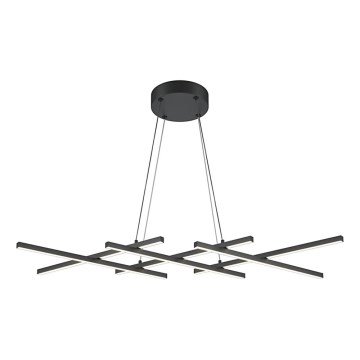 Maytoni MOD244PL-L50BK - LED luster na sajli HALO LED/40W/230V crna