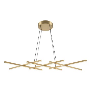 Maytoni MOD244PL-L50BSK - LED luster na sajli HALO LED/40W/230V, zlatna