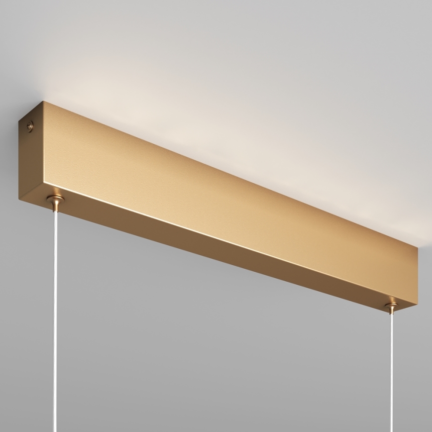 Maytoni P010PL-L23G3K - LED luster na sajli STEP LED/23W/230V 3000K 91 cm zlatni