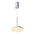 Maytoni P076PL-L12W3K-W - LED luster na sajli PLATO LED/12W/2300K 3000K bela