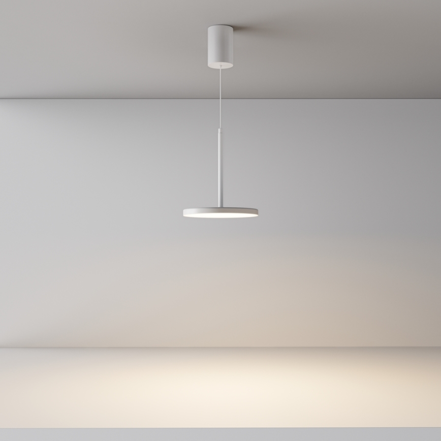 Maytoni P076PL-L12W3K-W - LED luster na sajli PLATO LED/12W/2300K 3000K bela
