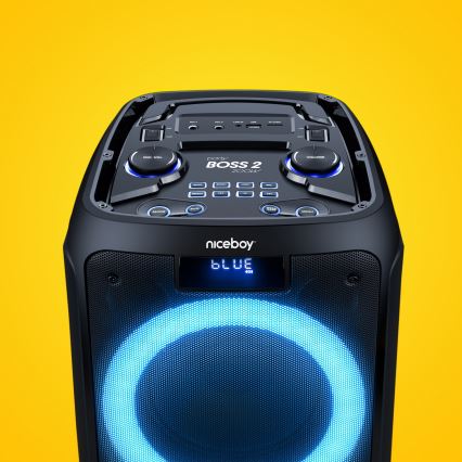 Niceboy PARTY Boss 2 - LED bežični zvučnik sa mikrofonom i funkcijom powerbanke 200W/4500 mAh + daljinski upravljač