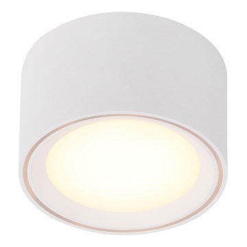 Nordlux - LED prigušiva spot svetiljka FALLON LED/5,5W/230V bela