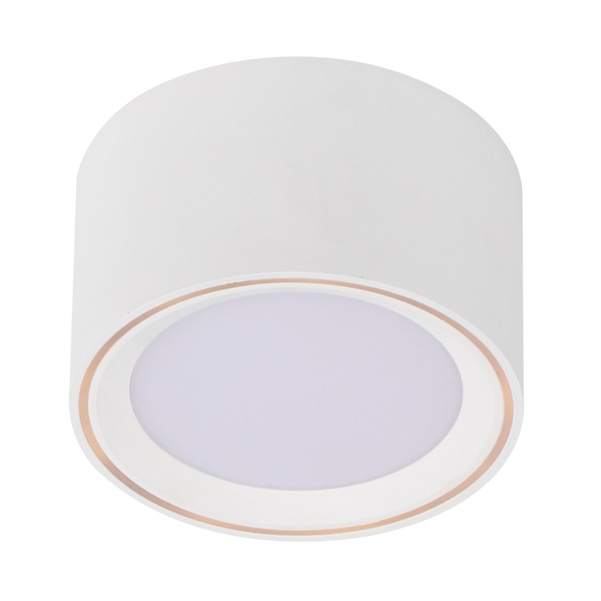 Nordlux - LED prigušiva spot svetiljka FALLON LED/5,5W/230V bela