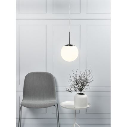 Nordlux - Luster na sajli CAFE 1xE27/15W/230V prečnik 20 cm