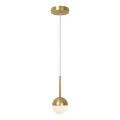 Nordlux - Luster na sajli CONTINA 1xG9/5W/230V mesing