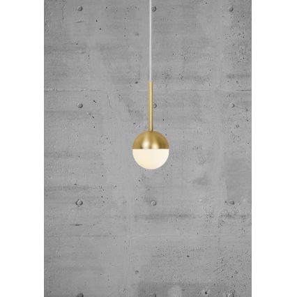 Nordlux - Luster na sajli CONTINA 1xG9/5W/230V mesing