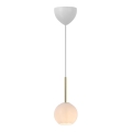 Nordlux - Luster na sajli FRANCA 1xE14/40W/230V bela