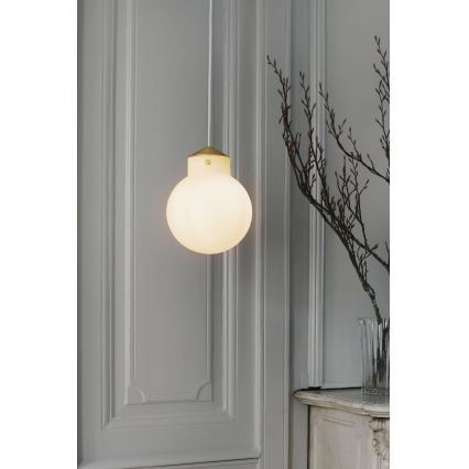 Nordlux - Luster na kablu RAITO 1xE27/25W/230V mesing/bela prečnik 22,5 cm
