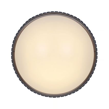 Nordlux - Plafonska svetiljka CORATO 3xE14/15W/230V, prečnik 52 cm