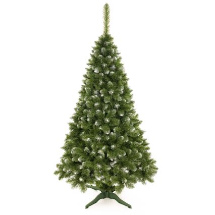 Novogodišnja jelka 220 cm bor