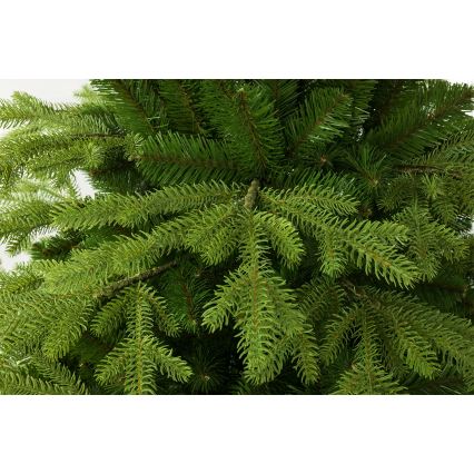 Novogodišnja jelka 220 cm - smreka