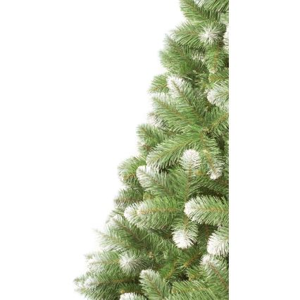 Novogodišnja jelka 250 cm, bor