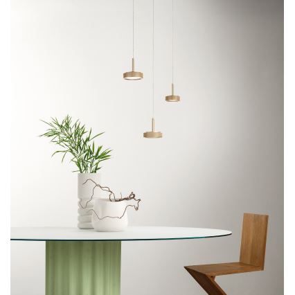 Ondaluce - LED luster na sajli NINA LED/20W/230V, prečnika 19 cm, zlatna