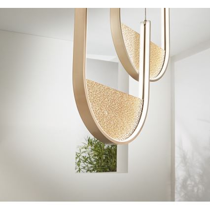 Ondaluce - LED prigušiva luster na sajli LOTUS LED/55W/230V zlatni