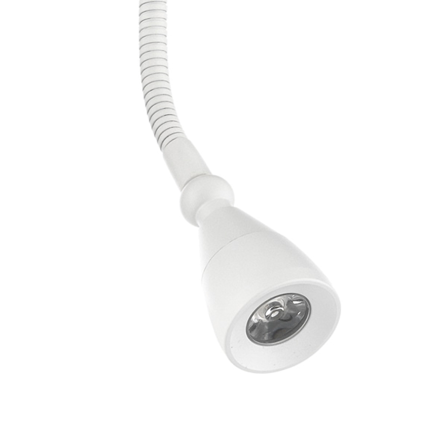 ONLI - LED Fleksibilna lampica LEXI LED/1W/230V 4000K bela