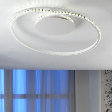 ONLI - LED plafonsko svetlo EDEN LED/26W/230V 4500K prečnika 50 cm belo