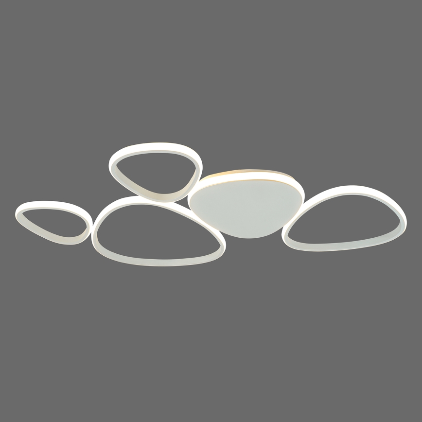 ONLI - LED stropno svetlo ROMEO LED/48W/230V 4000K bela