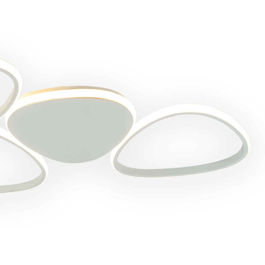 ONLI - LED stropno svetlo ROMEO LED/48W/230V 4000K bela