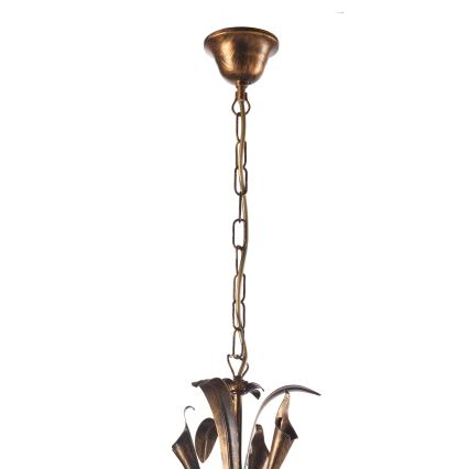 ONLI - Luster na lancu LUCREZIA 5xE14/6W/230V bronzana