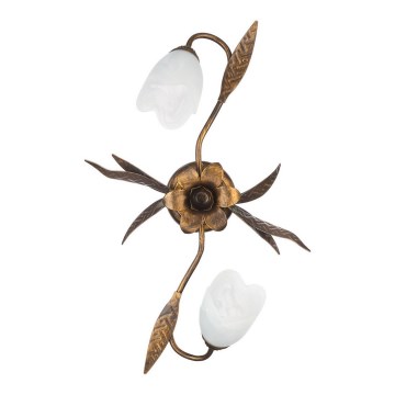 ONLI - Plafonsko svetlo SONIA 2xE14/6W/230V