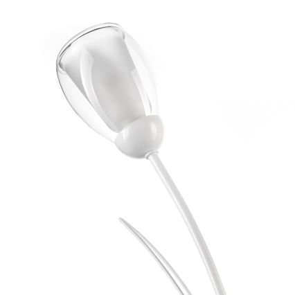 ONLI - Stona lampa ANTEA 2xE14/6W/230V 60 cm