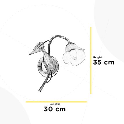 ONLI - Zidno svetlo MIRANDA 1xE14/6W/230V
